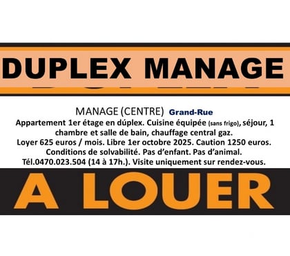 Location appart - Photos Vivastreet A LOUER APPARTEMENT EN DUPLEX MANAGE