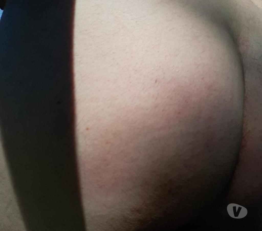 exhib Tournai Tournai-Centrum - Photos Vivastreet Rencontre homme bi