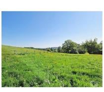 Les Hayons : beau terrain de plus d'un hectare.
