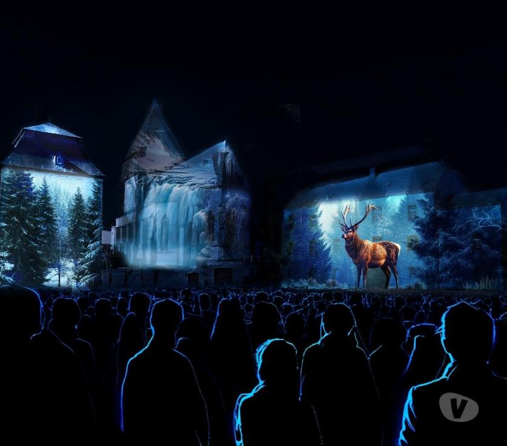 Concerts - Théâtre - Spectacles Bastogne - Photos Vivastreet Pôle Lumière - spectacle monumental à Bastogne