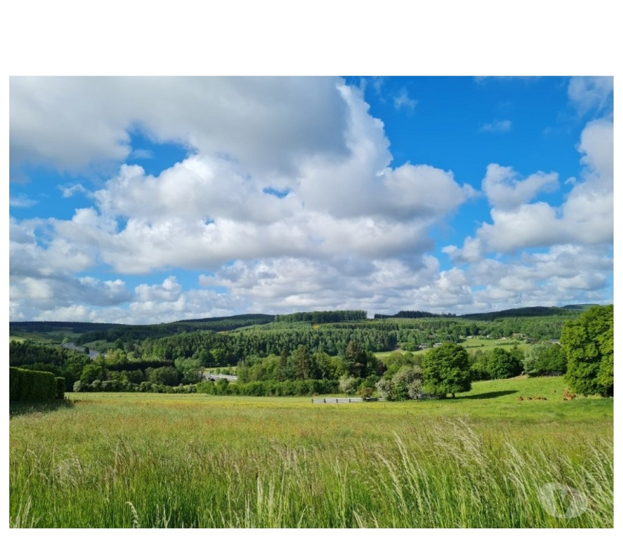 Terrains à vendre Tenneville Laneuville-au-Bois - Photos Vivastreet Ortheuville : terrain à bâtir, 14a 79ca.