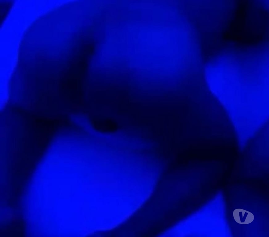 Gay Namur Belgrade - Photos Vivastreet Je fantasme sur les hommes bi, actifs