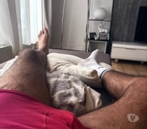 Gay chaud dispo reçois près de Mons