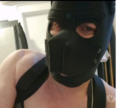 Gay Andrimont Dison - Photos Vivastreet A disposition pour actifs dominant