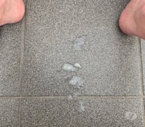 Mec curieux à sucer