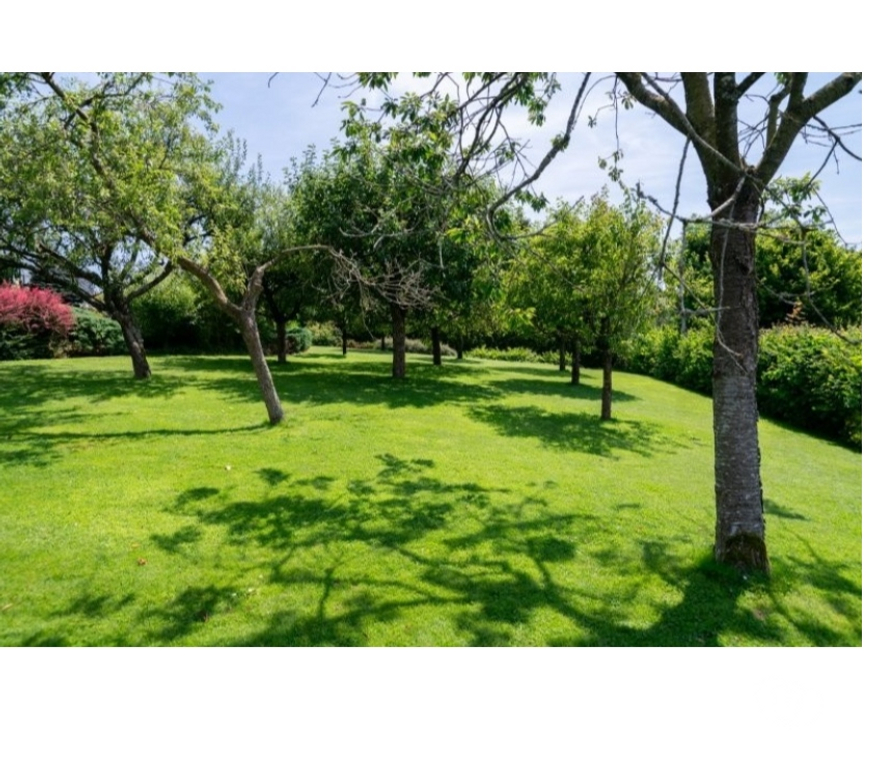 Annonce maison Bourseigne-Neuve - Photos Vivastreet 5575 Patignies : Magnifique propriété, 5ch-3sdb, piscine.