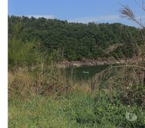 Quel femme m'accompagne au lac?