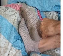 Rencontre amateur chaussettes et pieds sales