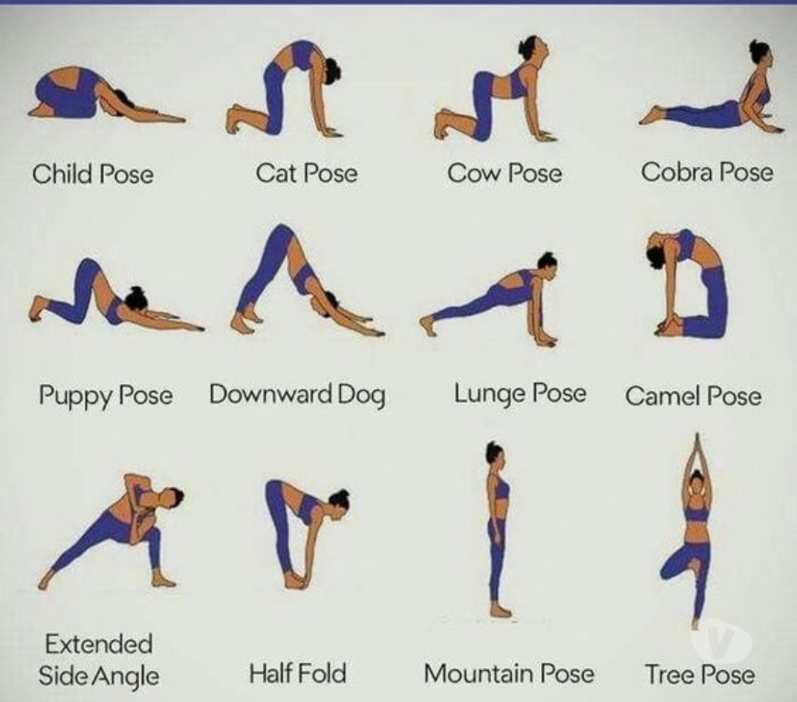 Sport Auderghem - Photos Vivastreet Cours de yoga pour tous les niveaux âges