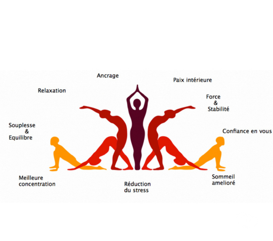 Sport Auderghem - Photos Vivastreet Cours de yoga pour tous les niveaux âges