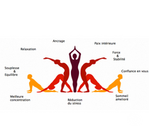 Cours de yoga pour tous les niveaux âges