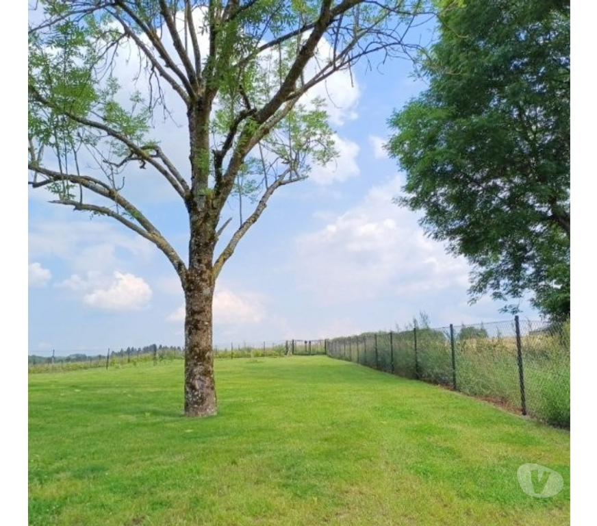 Maisons a louer Anloy - Photos Vivastreet Anloy - Libin : spacieuse maison, 3ch, 2sdb, jardin.