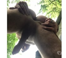 Qui pour me prendre en photo et plus