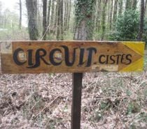 SCAËR-FINISTERE SUD- CHASSE AUX TRESORS - CISTES
