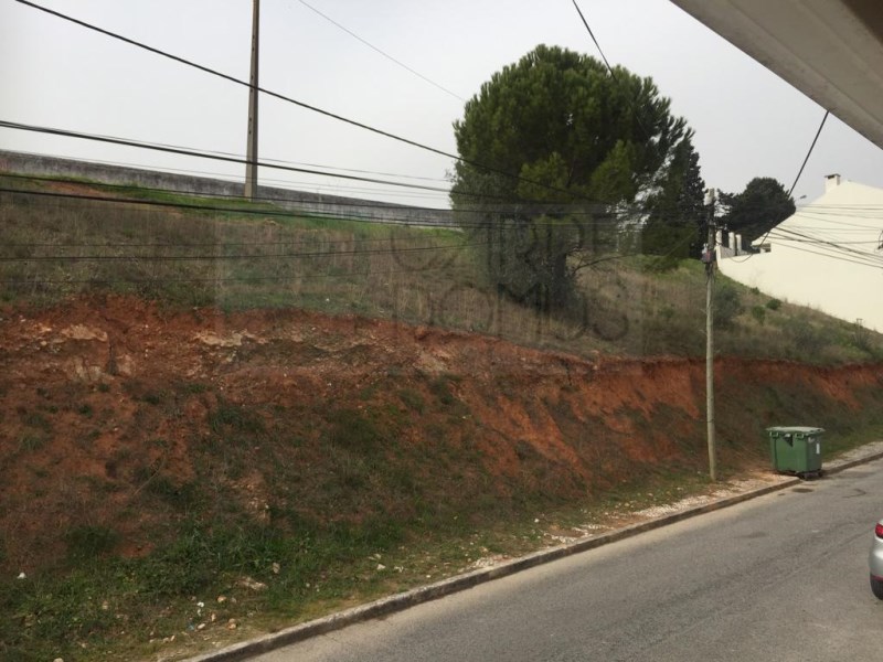 Vente Terrain - Photos Vivastreet Terrain à construire à Vialonga