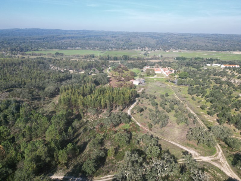 Achat maison Portugal - Photos Vivastreet Une ferme extraordinaire près d'Almeirim