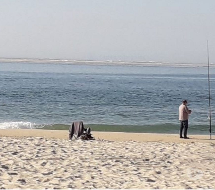 location saisonniere Landes Biscarrosse - 40600 - Photos Vivastreet Villa T3 dans quartier calme et boisé Biscarrosse Plage
