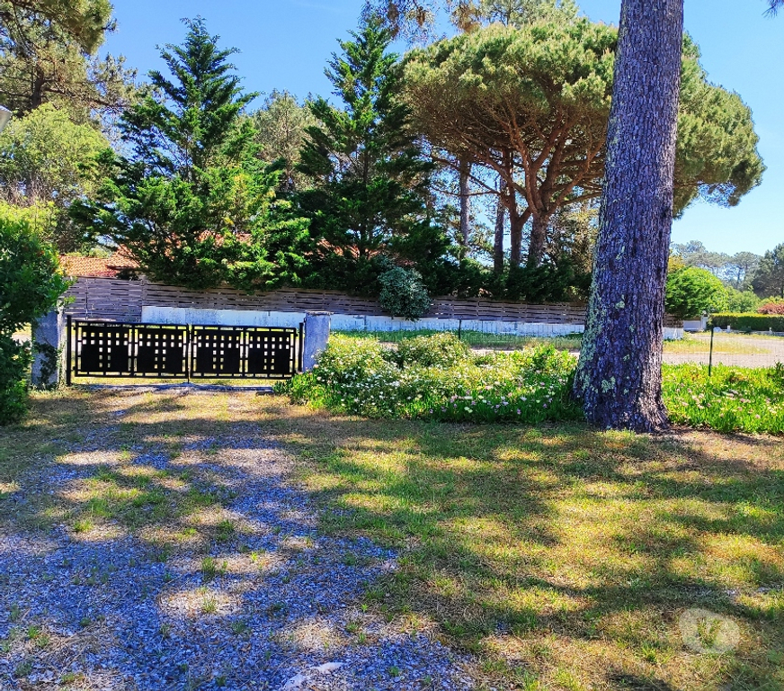 location saisonniere Landes Biscarrosse - 40600 - Photos Vivastreet Villa T3 dans quartier calme et boisé Biscarrosse Plage