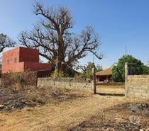 TERRAINS 10 ha FACE RESERVE BANDIA SENEGAL