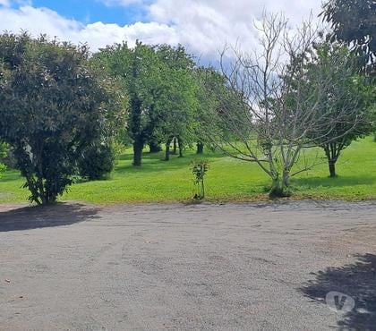 Achat maison Ige Saône-et-Loire - Photos Vivastreet Igé, Maison de village 80 m² avec 780m² de terrain