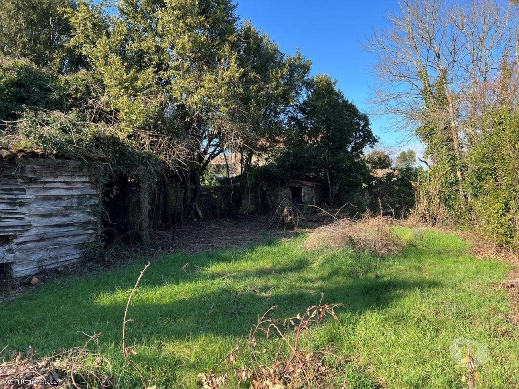 Vente Maison Charente Ruffec - 16700 - Photos Vivastreet Ruffec, Maison De Ville A Vendre Avec Jardin