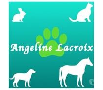 Vente de produits naturels pour les animaux