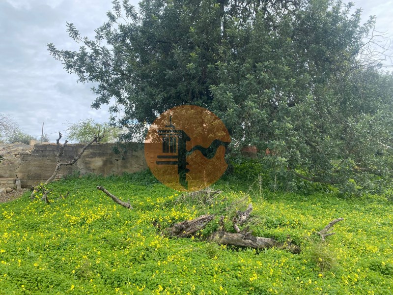 Vente Terrain - Photos Vivastreet Rustic land located in Conceição e Estoi,