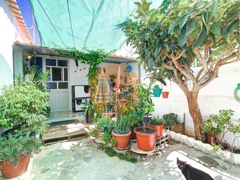 Maison à vendre - Photos Vivastreet Térrea de Traça Típica villa à 50m de Ria Formosa à Cabanas...