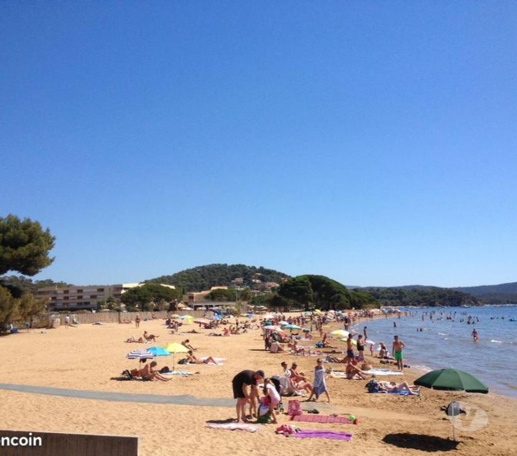 location saisonniere Var La Londe les Maures - 83250 - Photos Vivastreet loue studio à l'argentière plage à la londe les maures