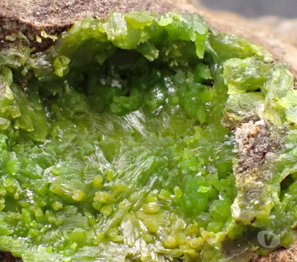 Collection Meurthe-et-Moselle Bertrichamps - 54120 - Photos Vivastreet Pyromorphite , Reid’s Vein , Leadshills , Ecosse