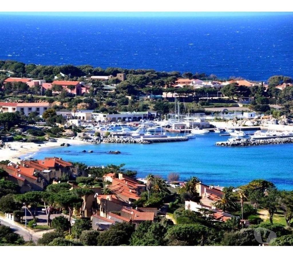location saisonniere Haute-Corse Calvi - 20260 - Photos Vivastreet Studio - Superbe vue mer
