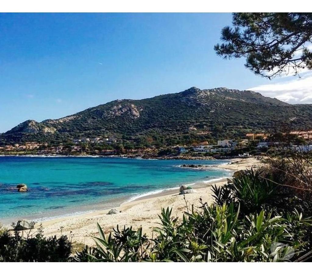location saisonniere Haute-Corse Calvi - 20260 - Photos Vivastreet Studio - Superbe vue mer