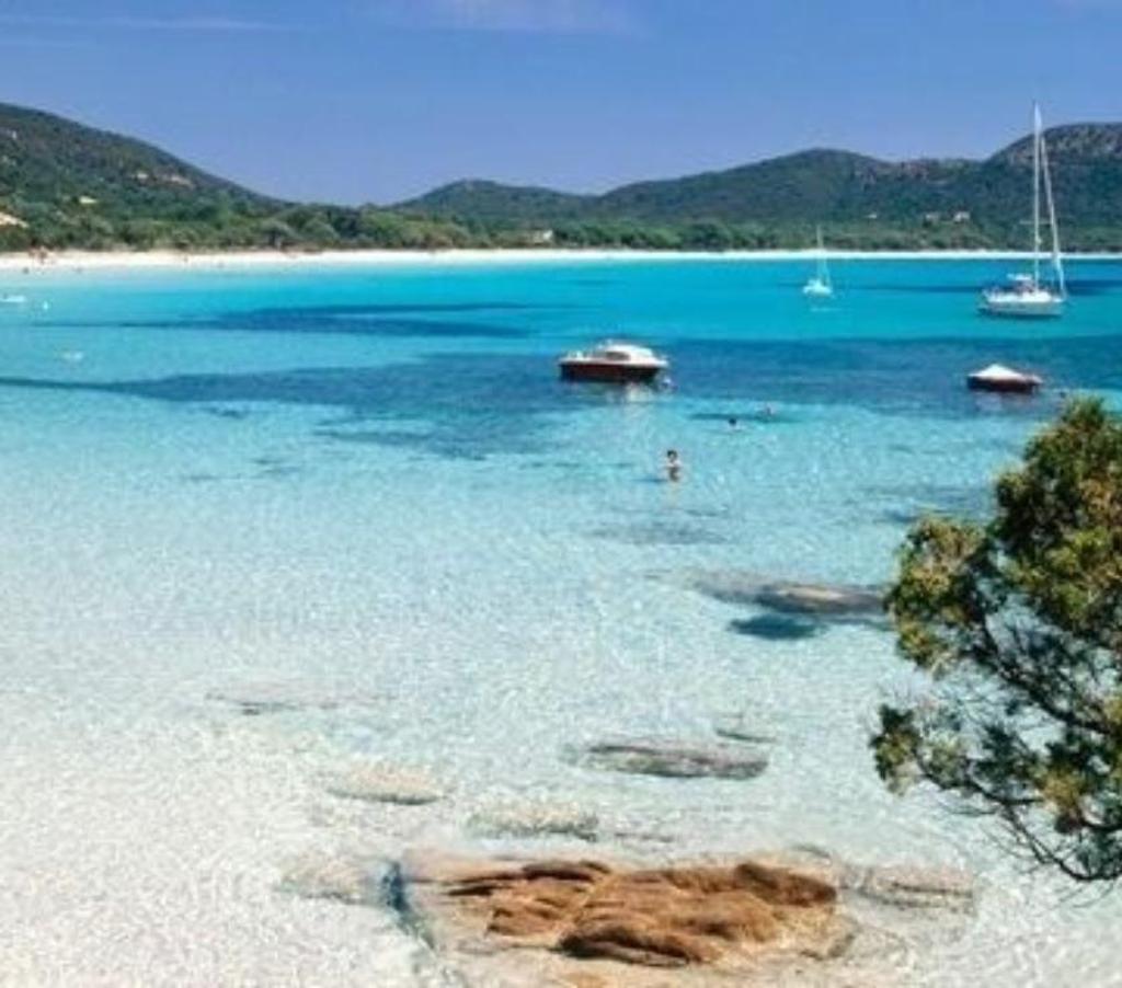 location saisonniere Haute-Corse Calvi - 20260 - Photos Vivastreet Studio - Superbe vue mer