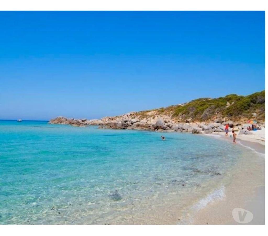 location saisonniere Haute-Corse L'Ile Rousse - 20220 - Photos Vivastreet T3 - Charme d'un village - Plage à 10mn