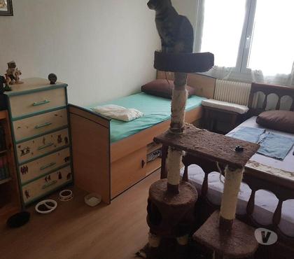 Colocations Dammarie les Lys Seine-et-Marne - Photos Vivastreet Propose hébergement gratuit à jeune femme