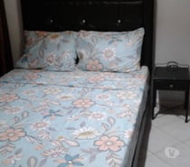 Location, appartement, meublé, avec wifi au centre Agadir
