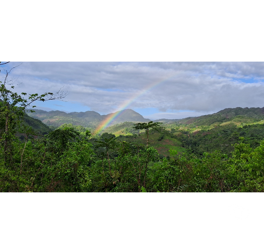 Terrain à vendre République dominicaine - Photos Vivastreet Terrains de 1178 m2 a 4 minutes playa Rincón Samaná