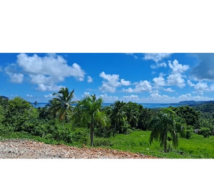 Vente Terrain - Photos Vivastreet Terrains de 1178 m2 a 4 minutes playa Rincón Samaná