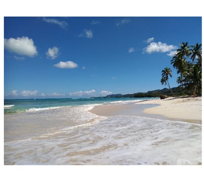 Vente Terrain - Photos Vivastreet Terrains a partir de 200 m2 playa Rincón Samaná