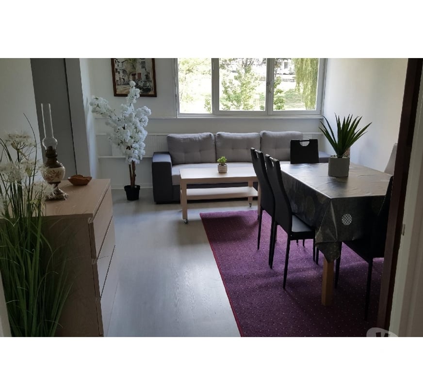 Colocations Loire St Etienne - Photos Vivastreet Cham 1 pers dans colocation - rue Watteau