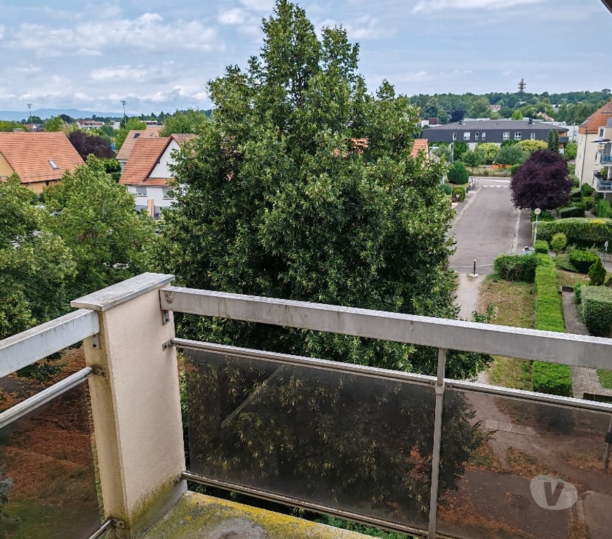 Location appartement Bas-Rhin Oberhausbergen - 67205 - Photos Vivastreet Oberhausbergen - appartement 3 pièces 75 m²