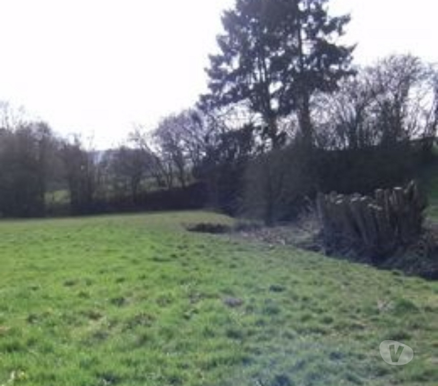 Terrain à vendre Belgique - Photos Vivastreet terrain à bâtir 1 2 Ha