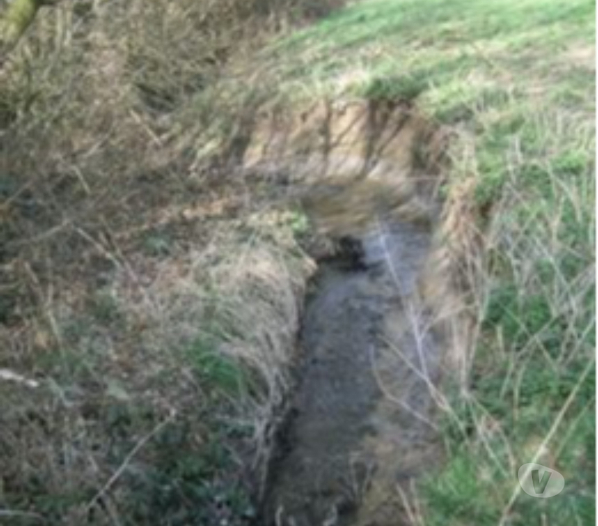Terrain à vendre Belgique - Photos Vivastreet terrain à bâtir 1 2 Ha