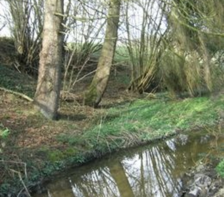 Terrain à vendre Belgique - Photos Vivastreet terrain à bâtir 1 2 Ha