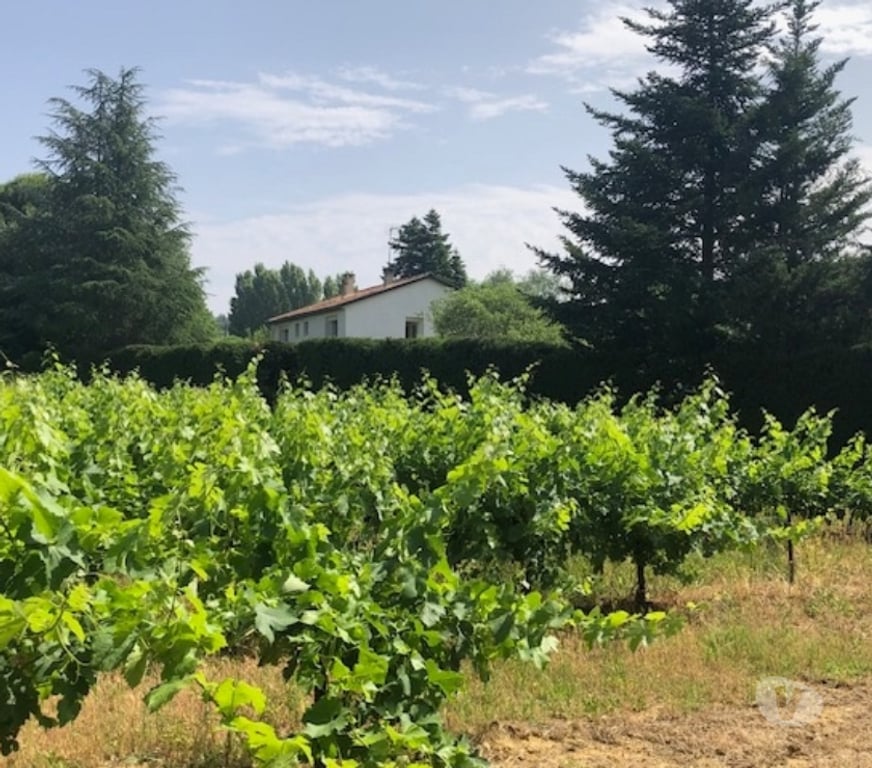 location saisonniere Gard Barjac - 30430 - Photos Vivastreet location de maison de campagne