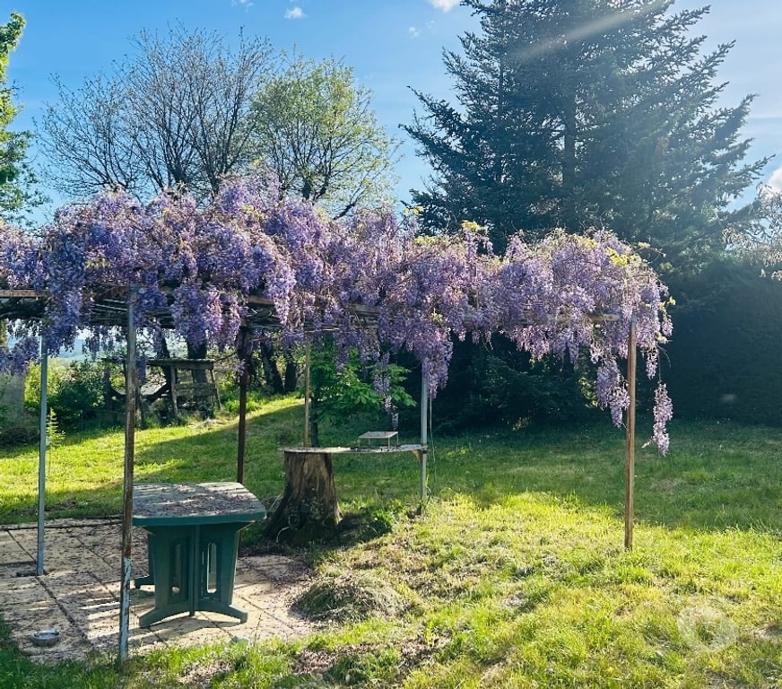 location saisonniere Gard Barjac - 30430 - Photos Vivastreet location de maison de campagne