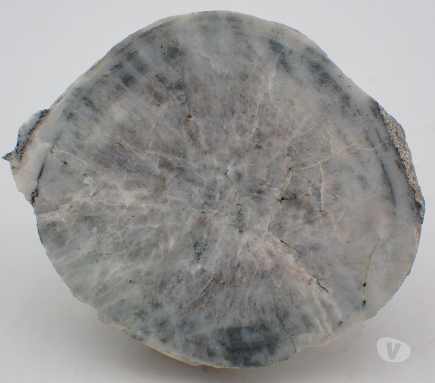 Collection Meurthe-et-Moselle Bertrichamps - 54120 - Photos Vivastreet Orbicule de Diorite orbiculaire , De Loretto di Tallano ,