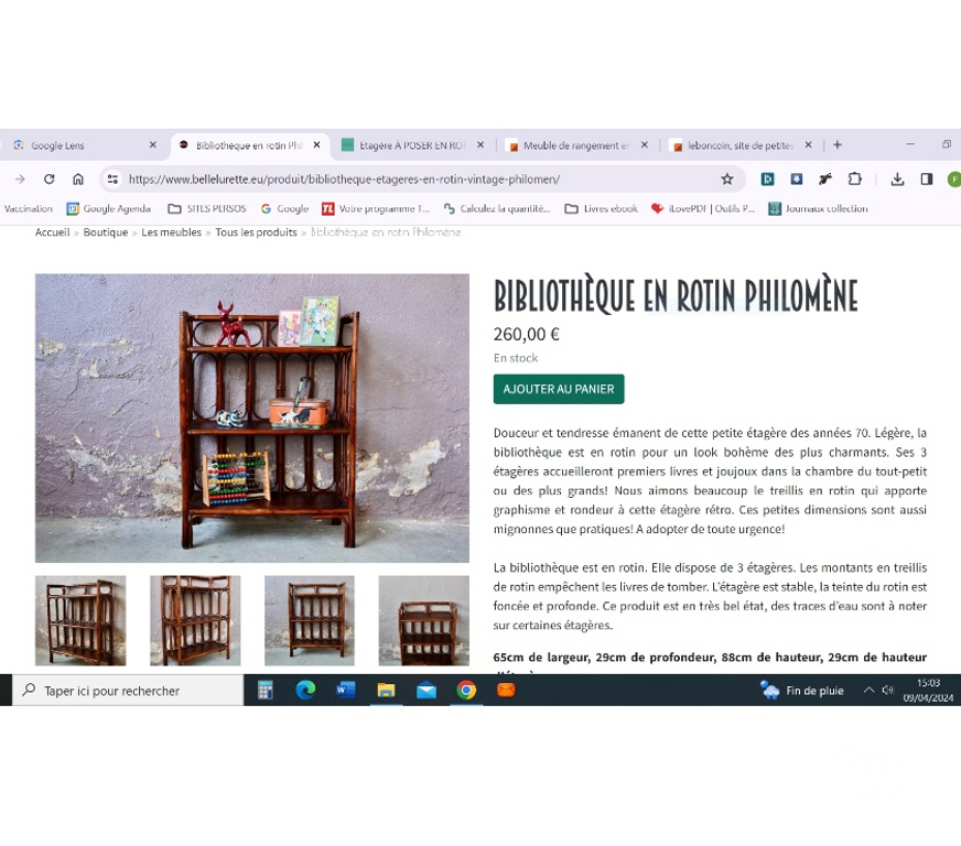 Ameublement & art de la table Savoie La Motte Servolex - 73290 - Photos Vivastreet Chambre en Bambou vintage + bibliothèques bambou