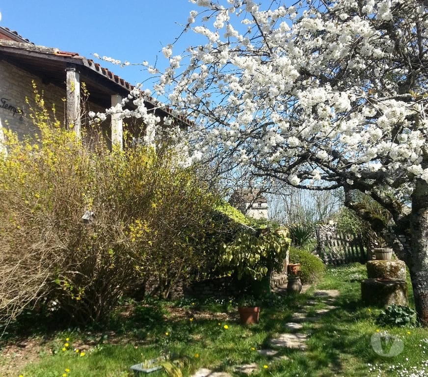 Vente Maison Tarn-et-Garonne St Antonin Noble Val - 82140 - Photos Vivastreet magnifique ferme rénovée pour gîte ou habitation