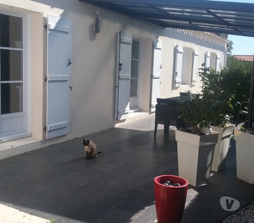 Vente Maison Vendée Ste Foy - 85150 - Photos Vivastreet MAISON DE 167M2 AVEC PISCINE
